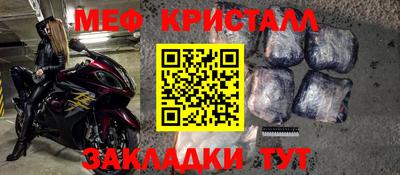 шишки Дубна