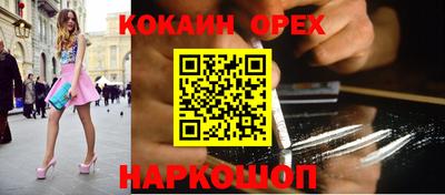 шишки Дубна