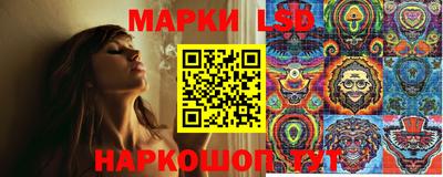 шишки Дубна