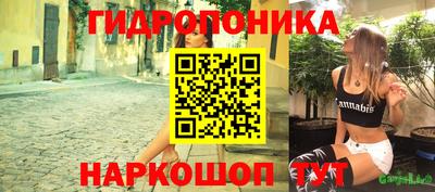 гашик Донской