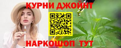 шишки Дубна