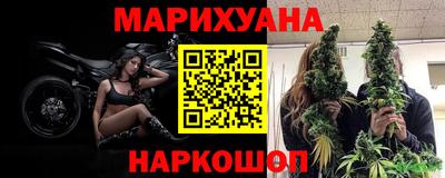 гашик Донской