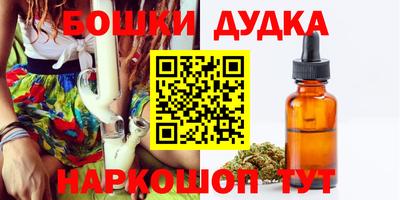 шишки Дубна