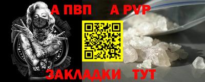 шишки Дубна