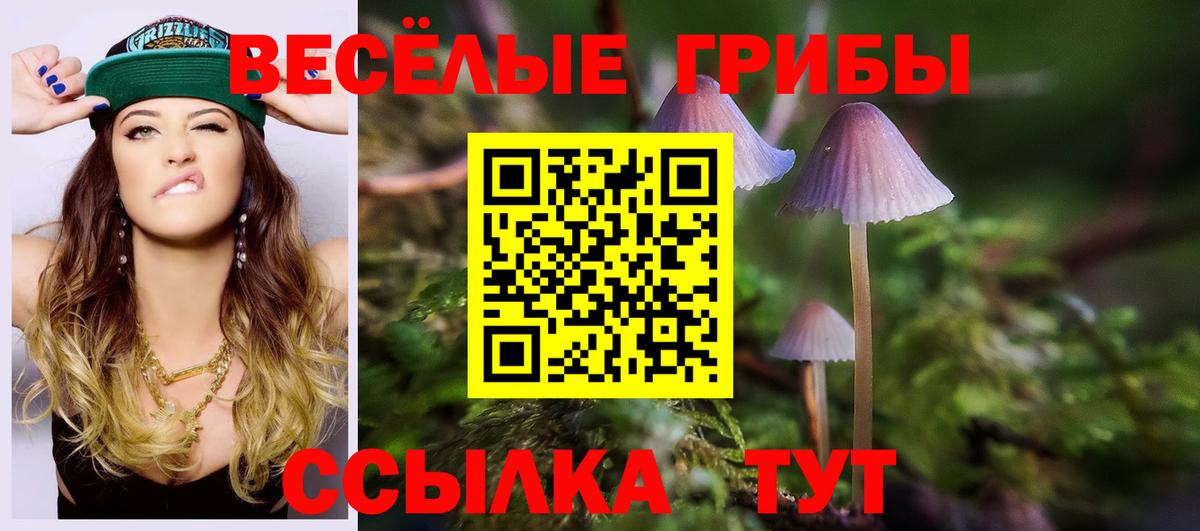 Малоярославец  наркота  Вход с VPN  Галлюциногенные грибы прущие грибы 